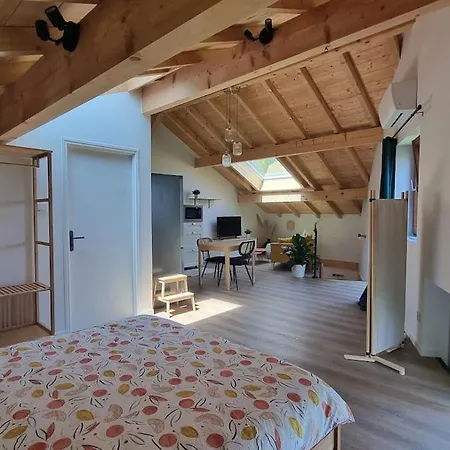 Grand Neuf Avec Velos *